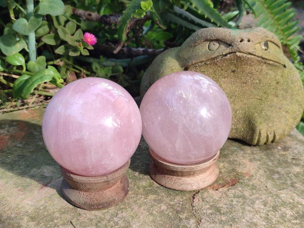 Polished Gemmy Star Rose Quartz Spheres x 3 From Madagascar - Toprock Gemstones and Minerals 