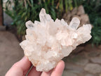 Natural Malagasy Quartz Clusters x 4 From Madagascar - Toprock Gemstones and Minerals 