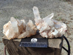 Natural Malagasy Quartz Clusters x 4 From Madagascar - Toprock Gemstones and Minerals 
