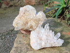 Natural Malagasy Quartz Clusters x 4 From Madagascar - Toprock Gemstones and Minerals 