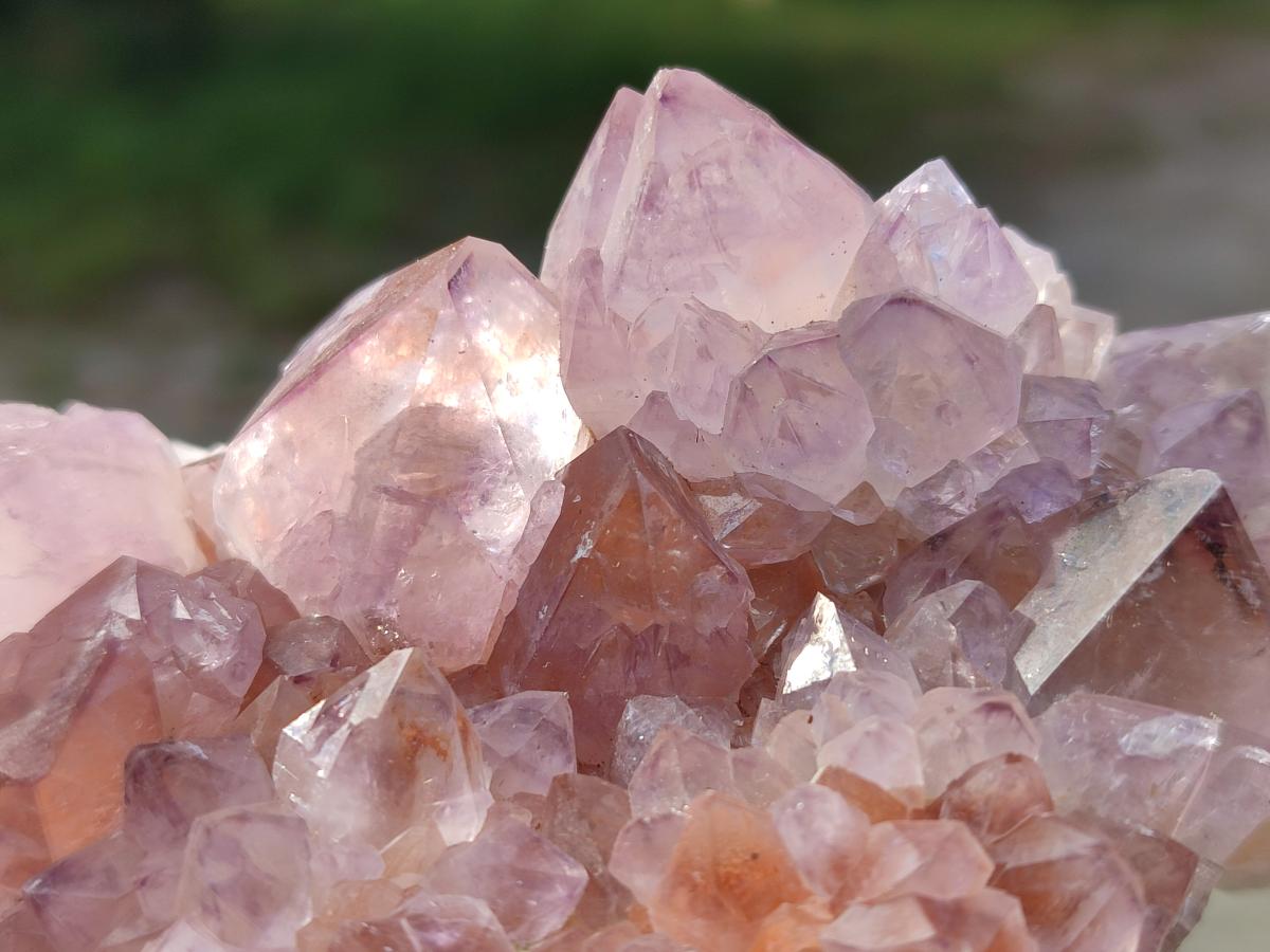 Natural Sunburst Spirit Amethyst Clusters x 5 From Boekenhouthoek, South Africa - Toprock Gemstones and Minerals 