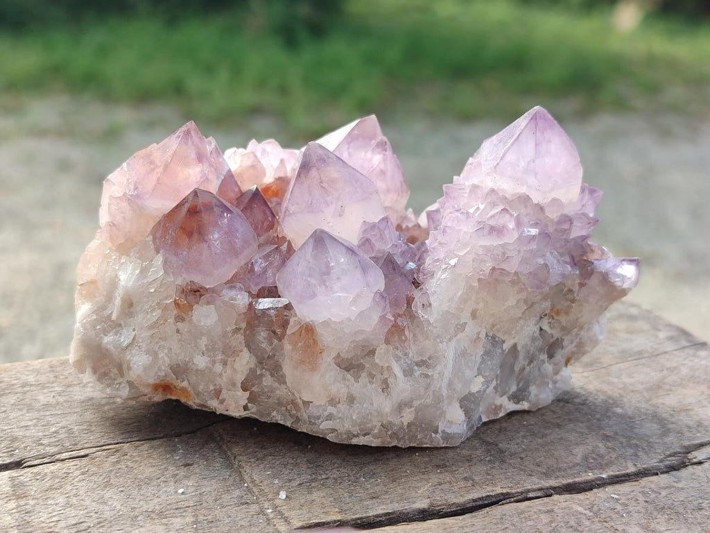 Natural Sunburst Spirit Amethyst Clusters x 5 From Boekenhouthoek, South Africa - Toprock Gemstones and Minerals 