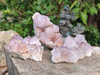 Natural Sunburst Spirit Amethyst Clusters x 5 From Boekenhouthoek, South Africa - Toprock Gemstones and Minerals 