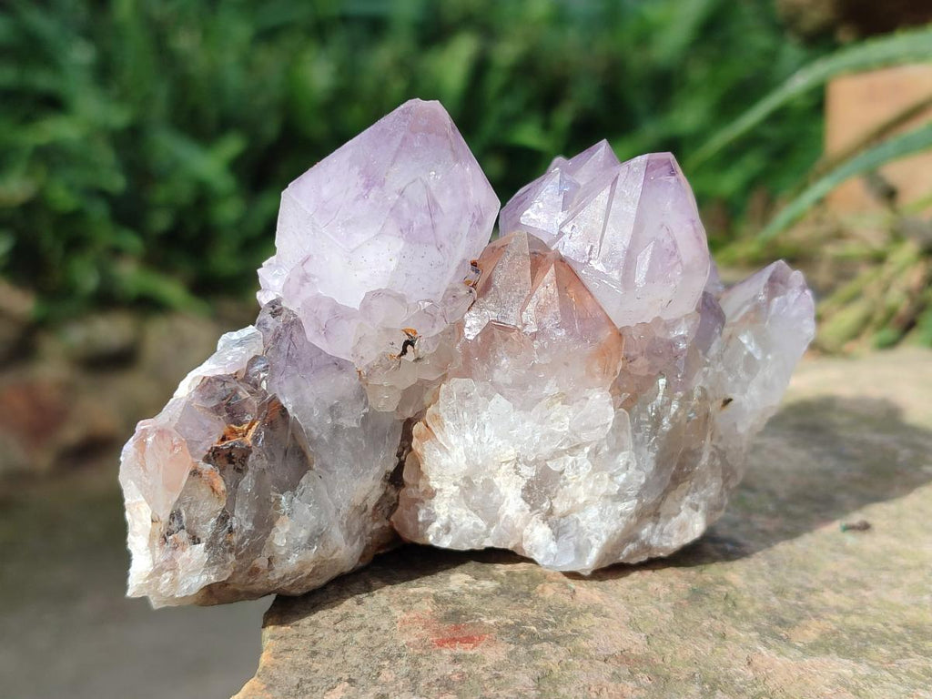 Natural Sunburst Spirit Amethyst Clusters x 5 From Boekenhouthoek, South Africa - Toprock Gemstones and Minerals 