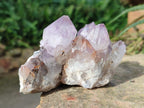 Natural Sunburst Spirit Amethyst Clusters x 5 From Boekenhouthoek, South Africa - Toprock Gemstones and Minerals 