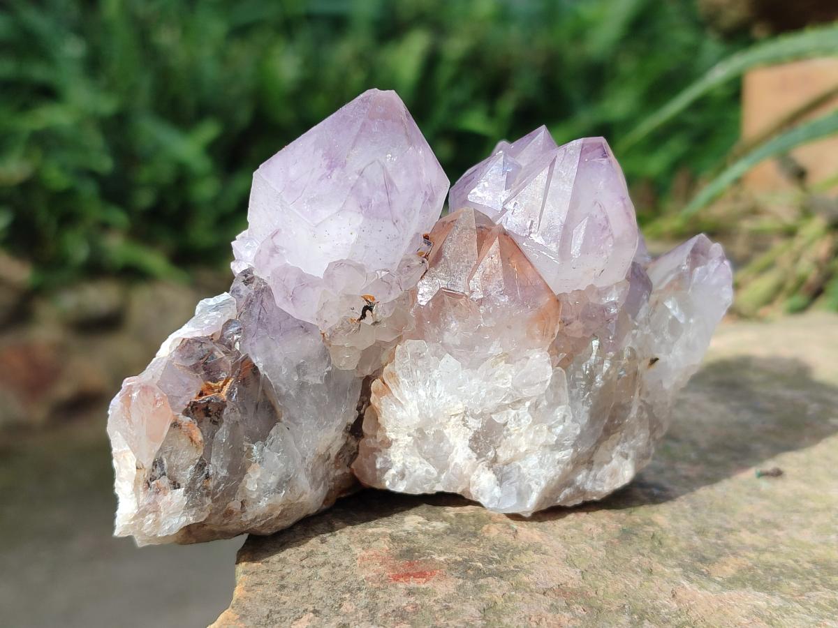 Natural Sunburst Spirit Amethyst Clusters x 5 From Boekenhouthoek, South Africa - Toprock Gemstones and Minerals 