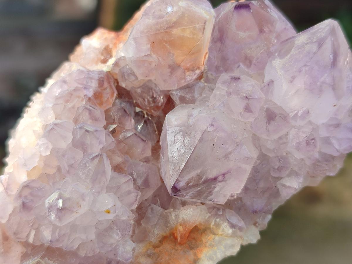 Natural Sunburst Spirit Amethyst Clusters x 5 From Boekenhouthoek, South Africa - Toprock Gemstones and Minerals 