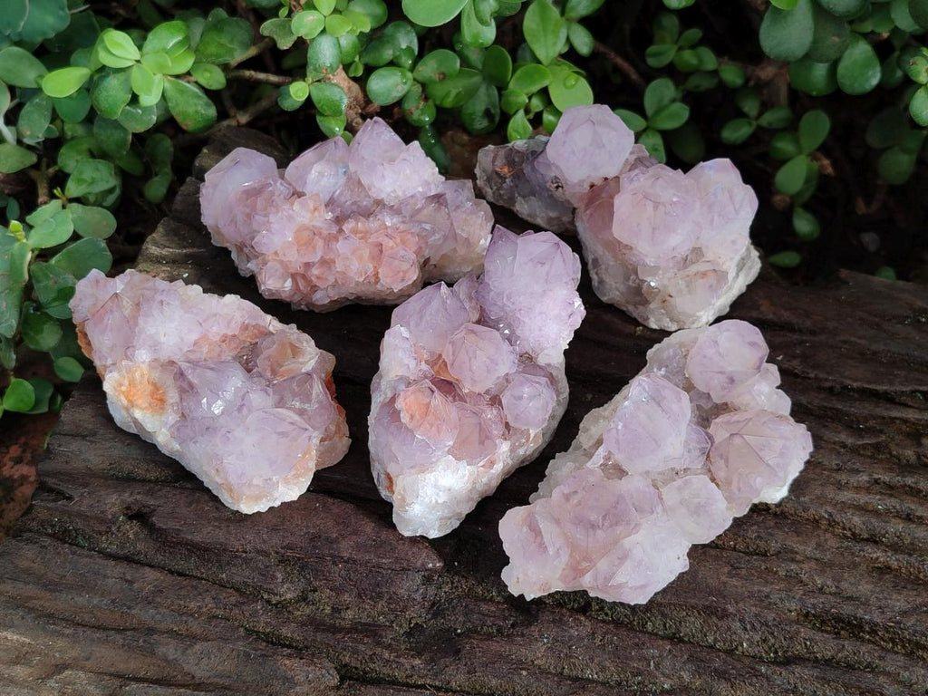 Natural Sunburst Spirit Amethyst Clusters x 5 From Boekenhouthoek, South Africa - Toprock Gemstones and Minerals 