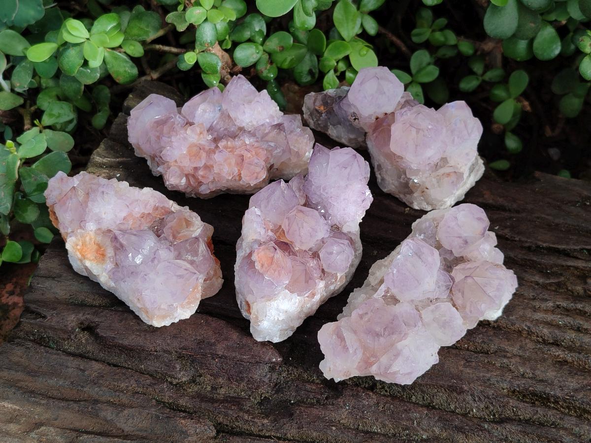 Natural Sunburst Spirit Amethyst Clusters x 5 From Boekenhouthoek, South Africa - Toprock Gemstones and Minerals 