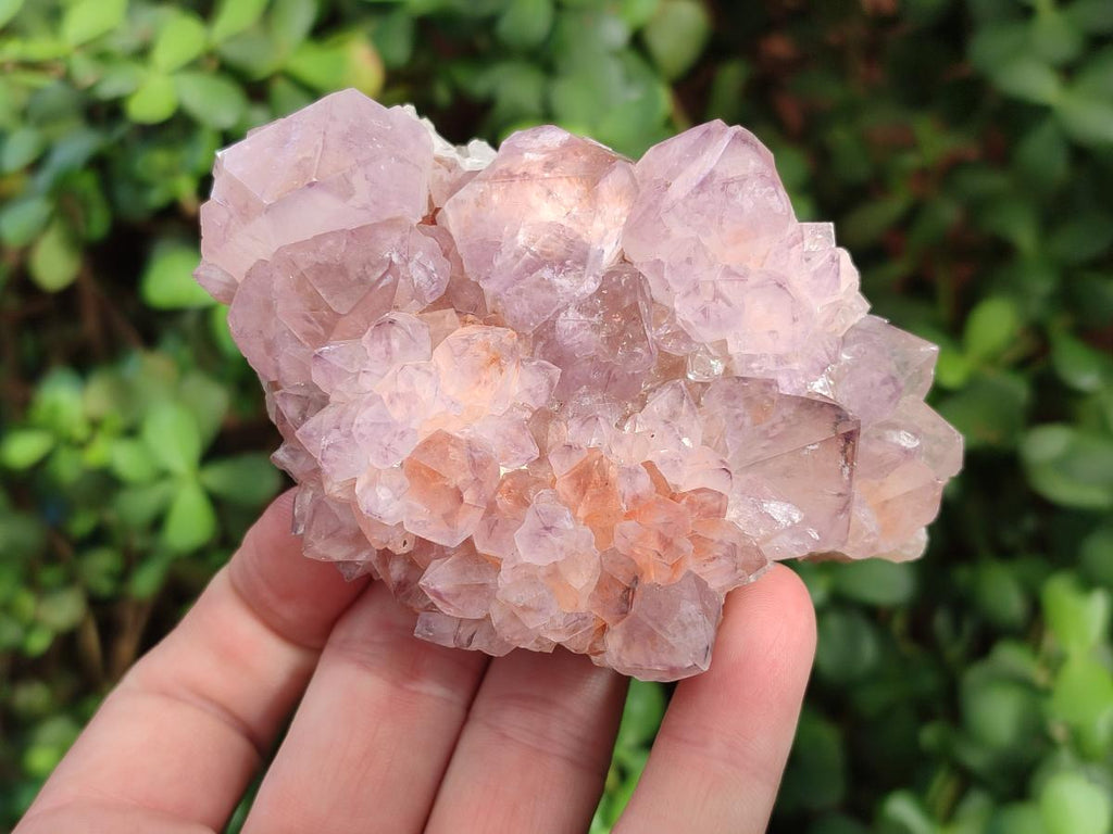 Natural Sunburst Spirit Amethyst Clusters x 5 From Boekenhouthoek, South Africa - Toprock Gemstones and Minerals 