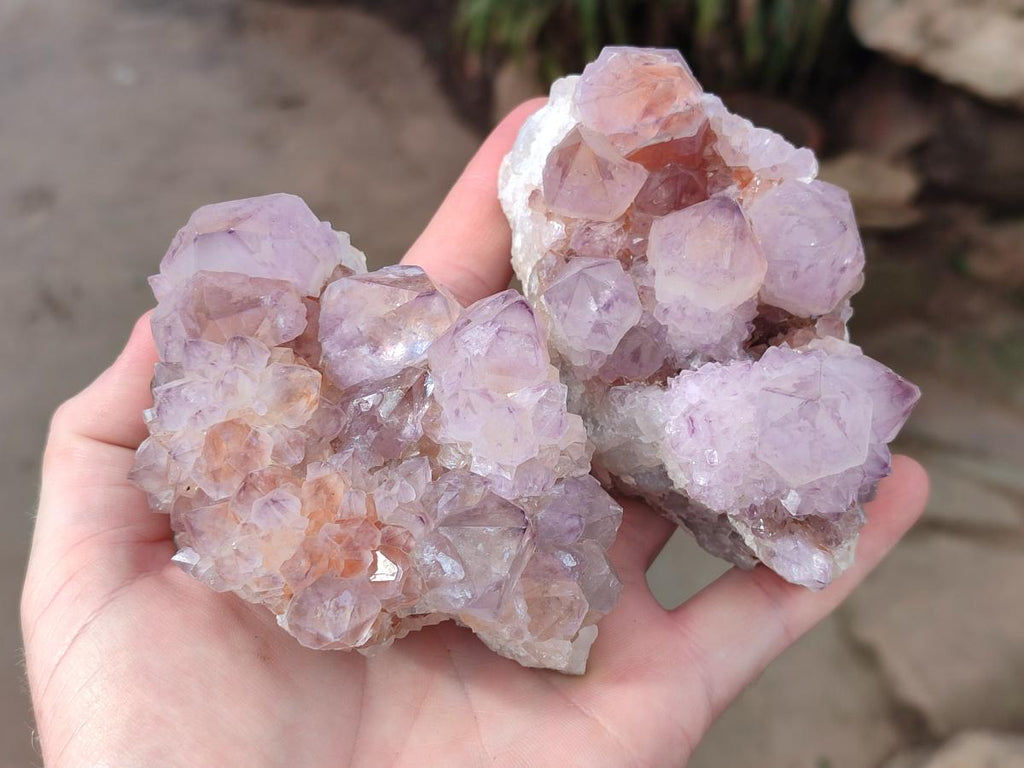 Natural Sunburst Spirit Amethyst Clusters x 5 From Boekenhouthoek, South Africa - Toprock Gemstones and Minerals 