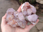 Natural Sunburst Spirit Amethyst Clusters x 5 From Boekenhouthoek, South Africa - Toprock Gemstones and Minerals 
