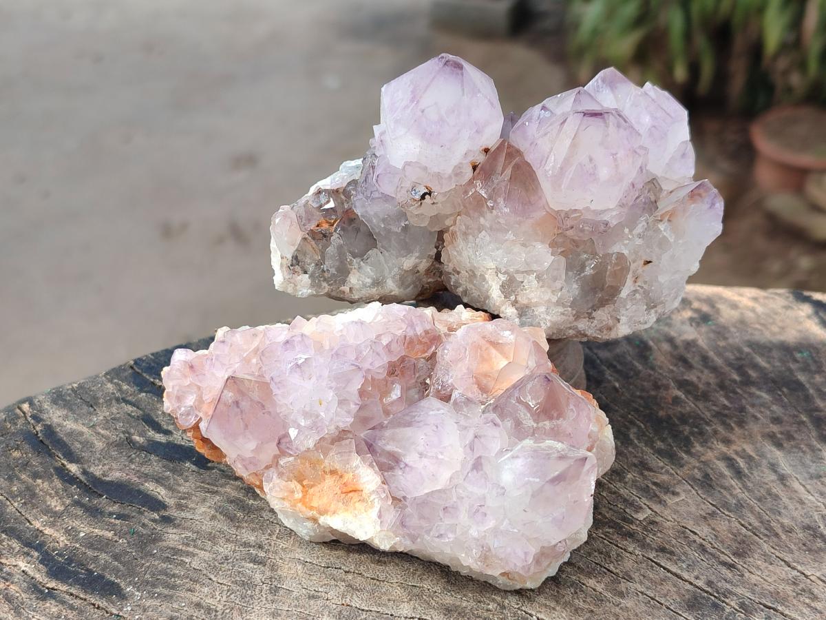 Natural Sunburst Spirit Amethyst Clusters x 5 From Boekenhouthoek, South Africa - Toprock Gemstones and Minerals 