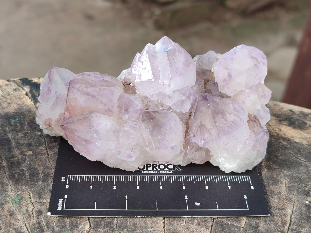Natural Sunburst Spirit Amethyst Clusters x 5 From Boekenhouthoek, South Africa - Toprock Gemstones and Minerals 