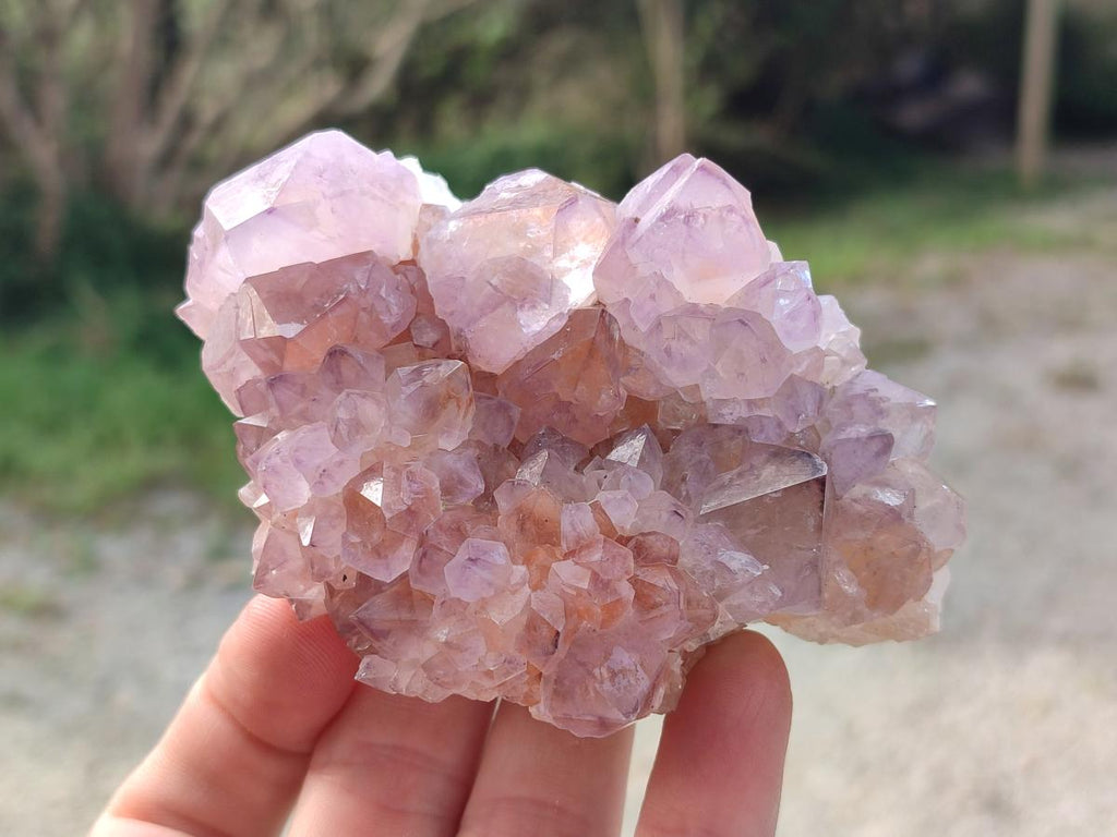 Natural Sunburst Spirit Amethyst Clusters x 5 From Boekenhouthoek, South Africa - Toprock Gemstones and Minerals 