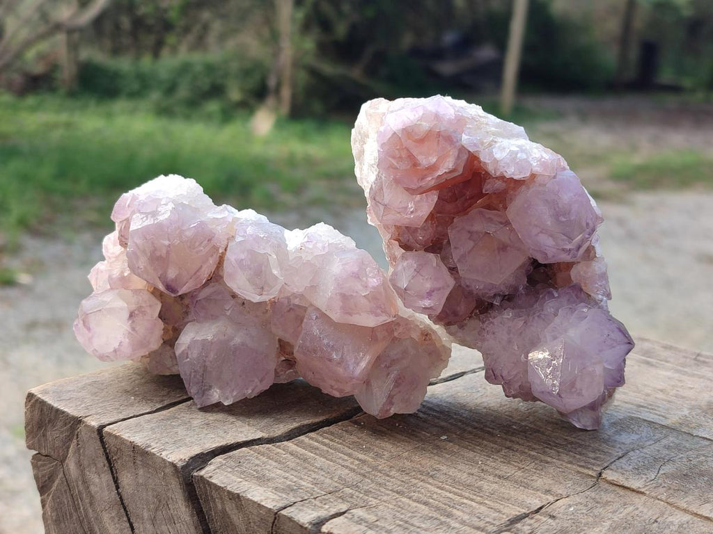 Natural Sunburst Spirit Amethyst Clusters x 5 From Boekenhouthoek, South Africa - Toprock Gemstones and Minerals 