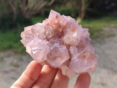 Natural Sunburst Spirit Amethyst Clusters x 5 From Boekenhouthoek, South Africa - Toprock Gemstones and Minerals 