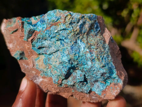 Natural Cobbed Shattuckite Specimens with Associated Minerals x 12 From Kaokoveld, Namibia - Toprock Gemstones and Minerals 