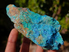Natural Cobbed Shattuckite Specimens with Associated Minerals x 12 From Kaokoveld, Namibia - Toprock Gemstones and Minerals 