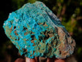 Natural Cobbed Shattuckite Specimens with Associated Minerals x 12 From Kaokoveld, Namibia - Toprock Gemstones and Minerals 