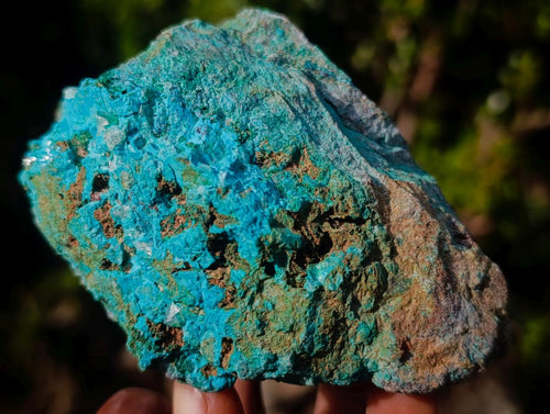 Natural Cobbed Shattuckite Specimens with Associated Minerals x 12 From Kaokoveld, Namibia - Toprock Gemstones and Minerals 
