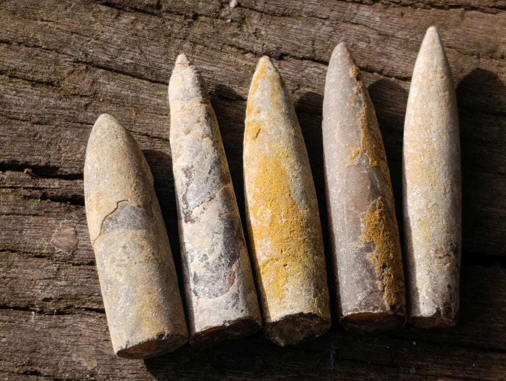 Natural Belemnite Rostrum Fossils x 2.12 Kg Lot From Madagascar - Toprock Gemstones and Minerals 