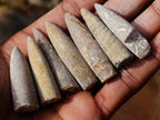 Natural Belemnite Rostrum Fossils x 2.12 Kg Lot From Madagascar - Toprock Gemstones and Minerals 