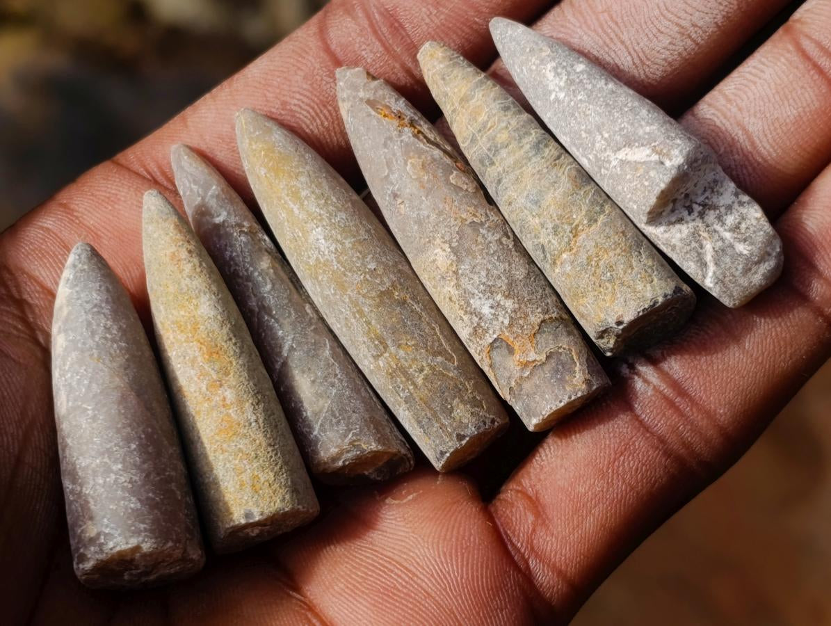 Natural Belemnite Rostrum Fossils x 2.12 Kg Lot From Madagascar - Toprock Gemstones and Minerals 