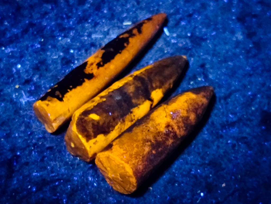 Natural Belemnite Rostrum Fossils x 2.12 Kg Lot From Madagascar