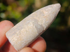 Natural Belemnite Rostrum Fossils x 2.12 Kg Lot From Madagascar - Toprock Gemstones and Minerals 