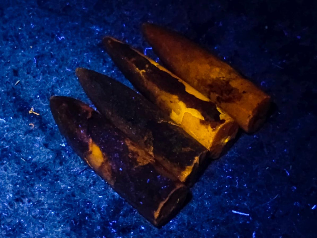 Natural Belemnite Rostrum Fossils x 2.12 Kg Lot From Madagascar