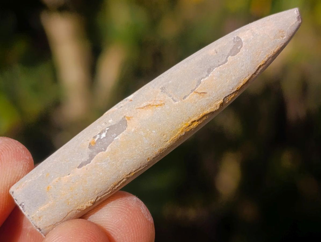 Natural Belemnite Rostrum Fossils x 2.12 Kg Lot From Madagascar - Toprock Gemstones and Minerals 