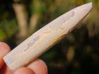Natural Belemnite Rostrum Fossils x 2.12 Kg Lot From Madagascar - Toprock Gemstones and Minerals 