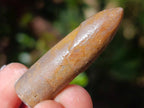 Natural Belemnite Rostrum Fossils x 2.12 Kg Lot From Madagascar - Toprock Gemstones and Minerals 