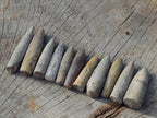 Natural Belemnite Rostrum Fossils x 2.12 Kg Lot From Madagascar - Toprock Gemstones and Minerals 