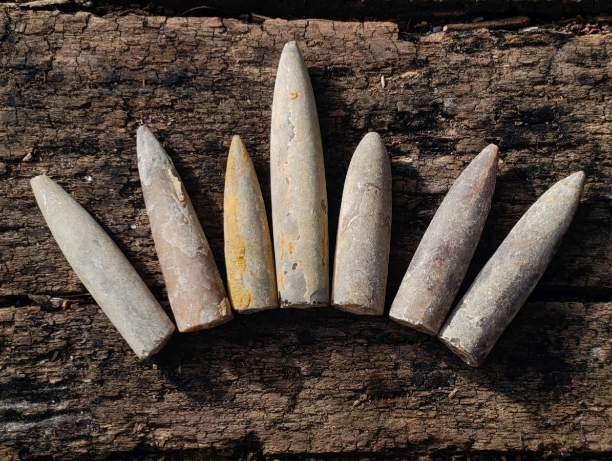 Natural Belemnite Rostrum Fossils x 2.12 Kg Lot From Madagascar - Toprock Gemstones and Minerals 