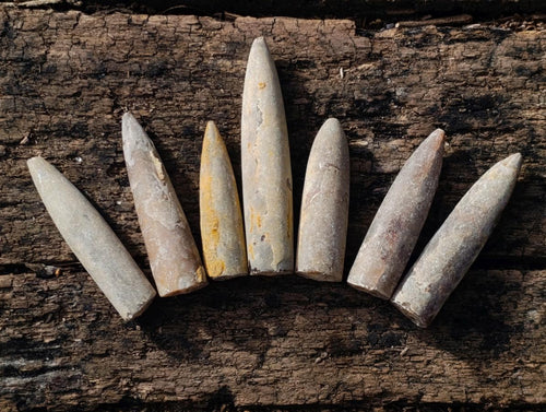 Natural Belemnite Rostrum Fossils x 2.12 Kg Lot From Madagascar - Toprock Gemstones and Minerals 