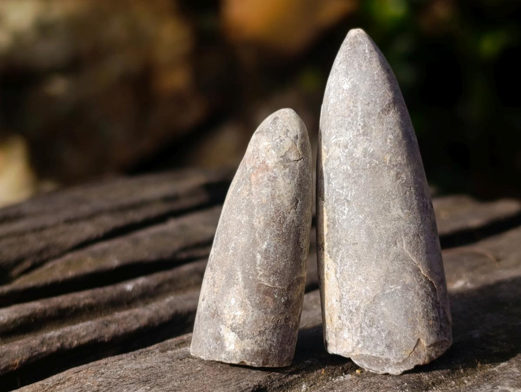 Natural Belemnite Rostrum Fossils x 2.12 Kg Lot From Madagascar - Toprock Gemstones and Minerals 