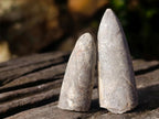 Natural Belemnite Rostrum Fossils x 2.12 Kg Lot From Madagascar - Toprock Gemstones and Minerals 