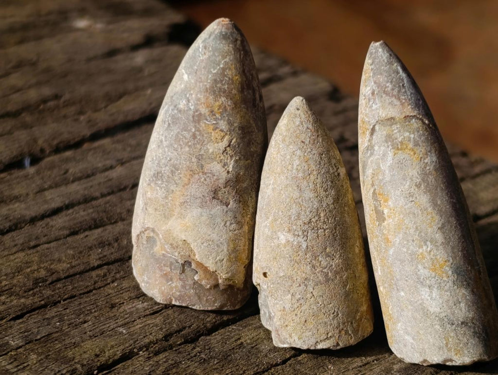 Natural Belemnite Rostrum Fossils x 2.12 Kg Lot From Madagascar - Toprock Gemstones and Minerals 