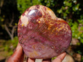 Natural Cobbed Stichtite Specimens x 70 From Barberton, South Africa - Toprock Gemstones and Minerals 