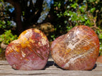 Natural Cobbed Stichtite Specimens x 70 From Barberton, South Africa - Toprock Gemstones and Minerals 