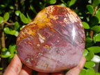Natural Cobbed Stichtite Specimens x 70 From Barberton, South Africa - Toprock Gemstones and Minerals 