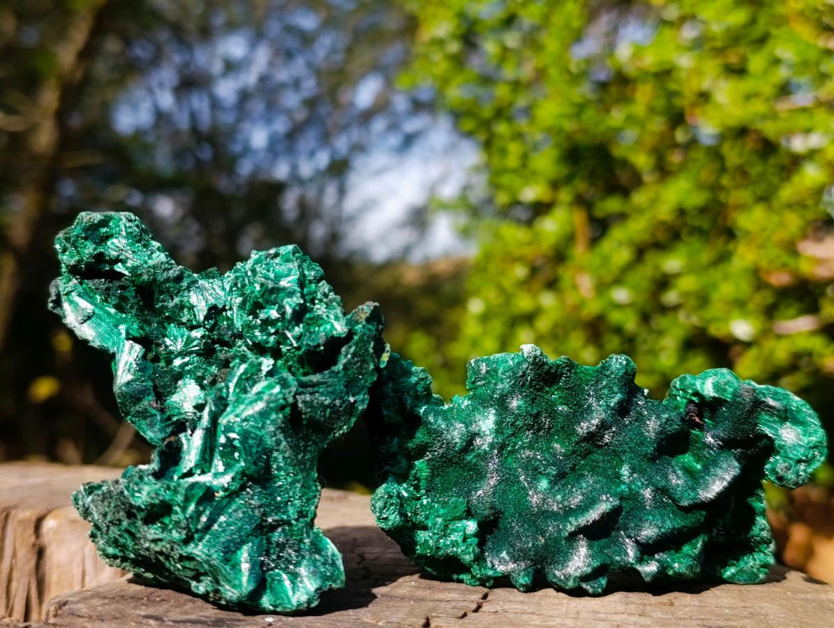 Natural Silky Malachite Specimens x 12 From Kasompe, Congo - Toprock Gemstones and Minerals 