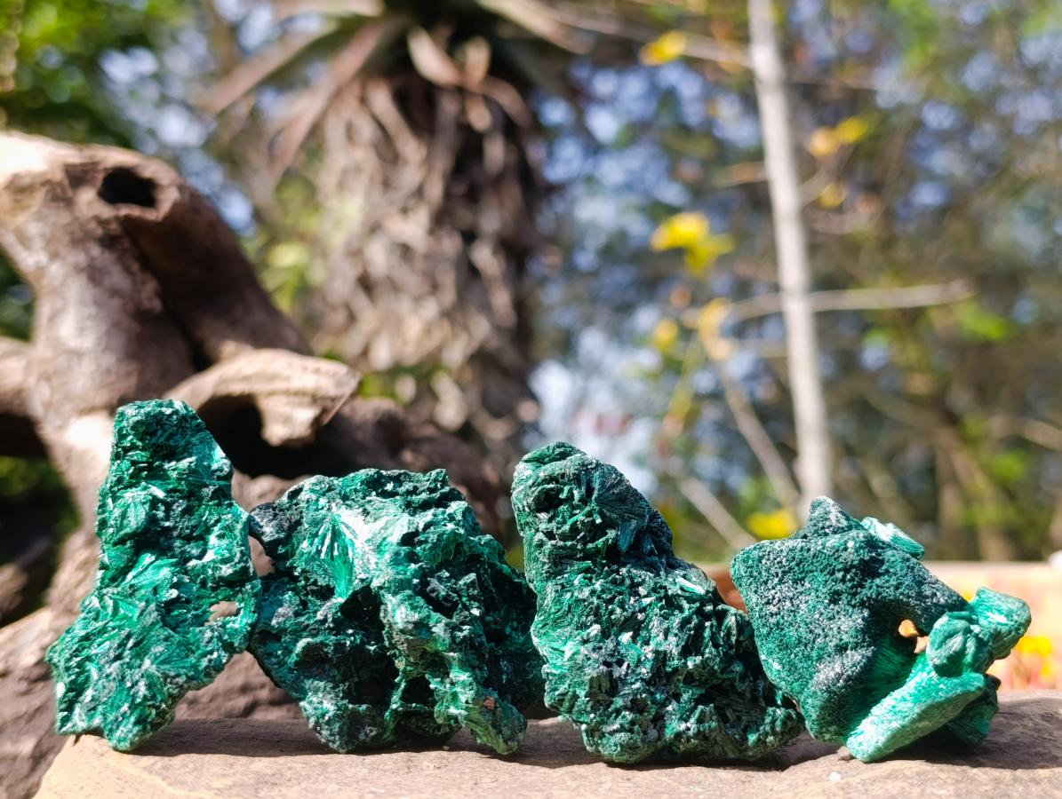Natural Silky Malachite Specimens x 12 From Kasompe, Congo - Toprock Gemstones and Minerals 