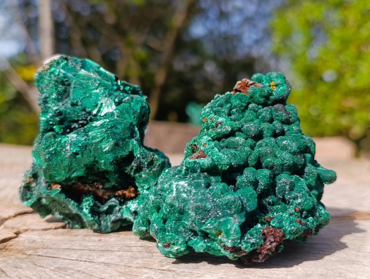 Natural Silky Malachite Specimens x 12 From Kasompe, Congo - Toprock Gemstones and Minerals 
