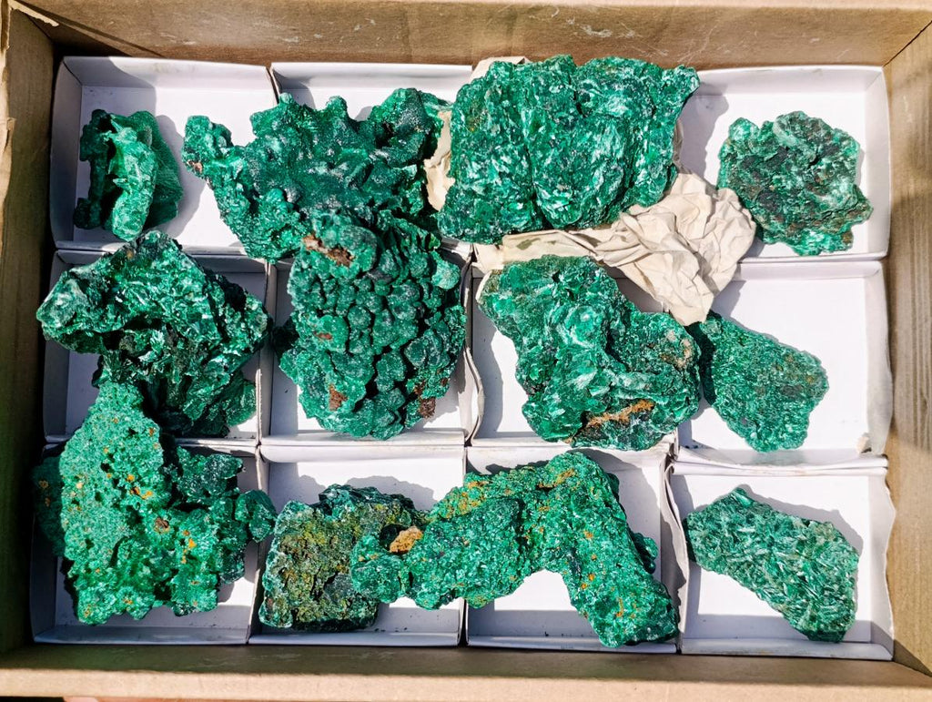 Natural Silky Malachite Specimens x 12 From Kasompe, Congo