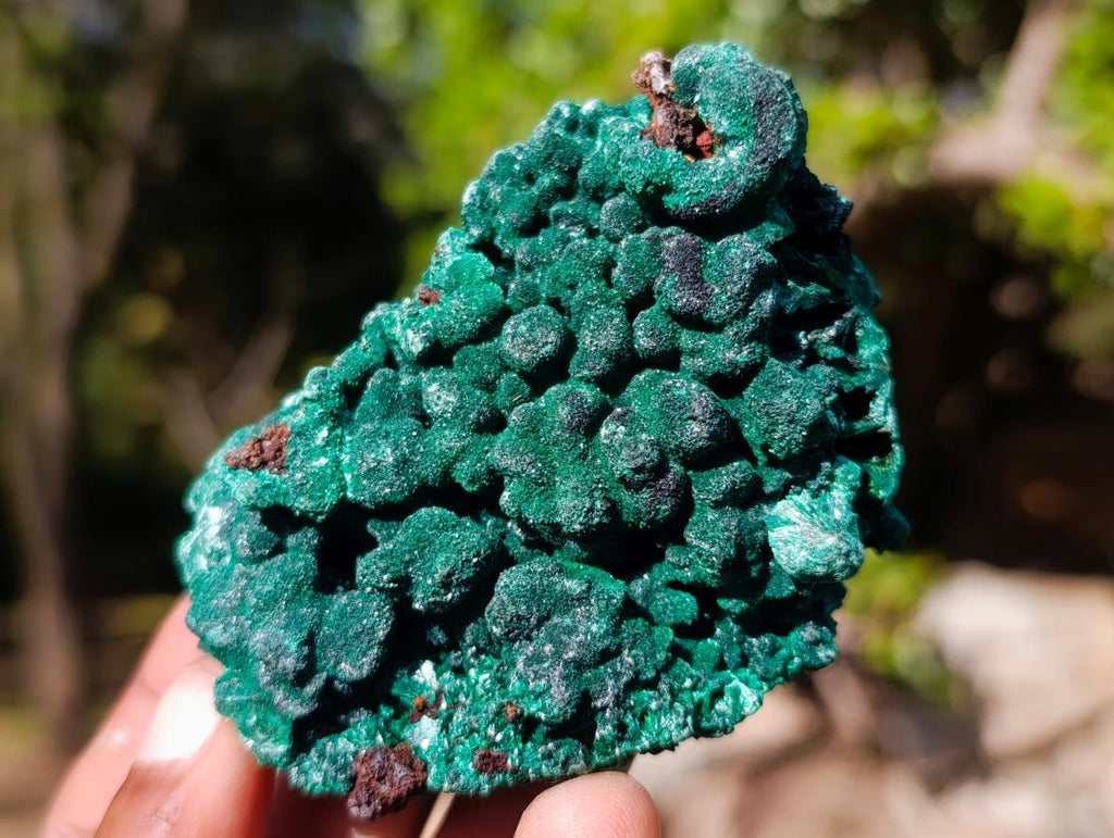 Natural Silky Malachite Specimens x 12 From Kasompe, Congo - Toprock Gemstones and Minerals 