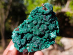 Natural Silky Malachite Specimens x 12 From Kasompe, Congo - Toprock Gemstones and Minerals 