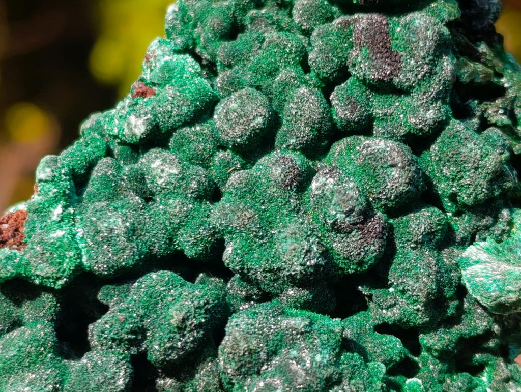 Natural Silky Malachite Specimens x 12 From Kasompe, Congo - Toprock Gemstones and Minerals 